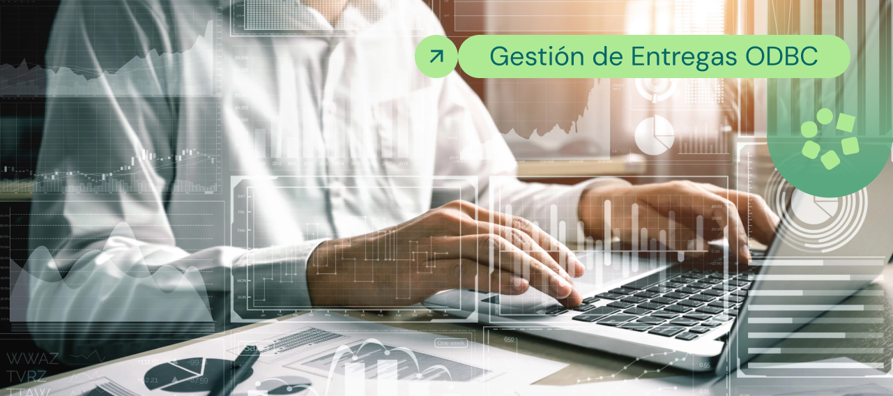 Gestión de entrega mediante una conexión ODBC