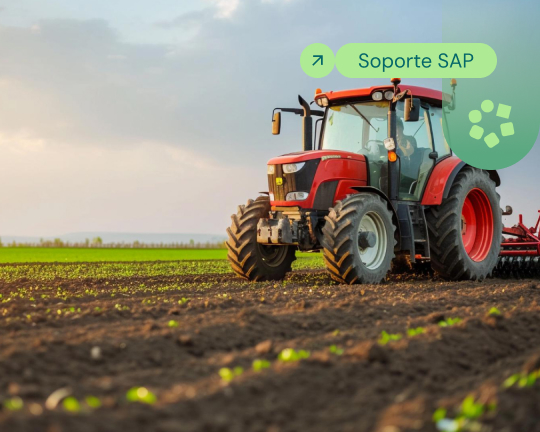 Ebook: Soporte SAP en Bolivia