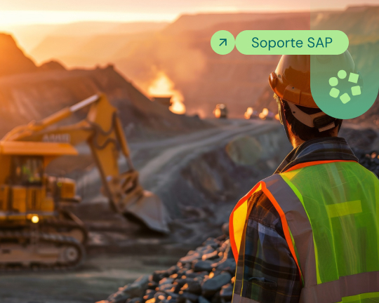 Ebook: Soporte SAP para la Minería Peruana