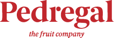 Partner tecnológico