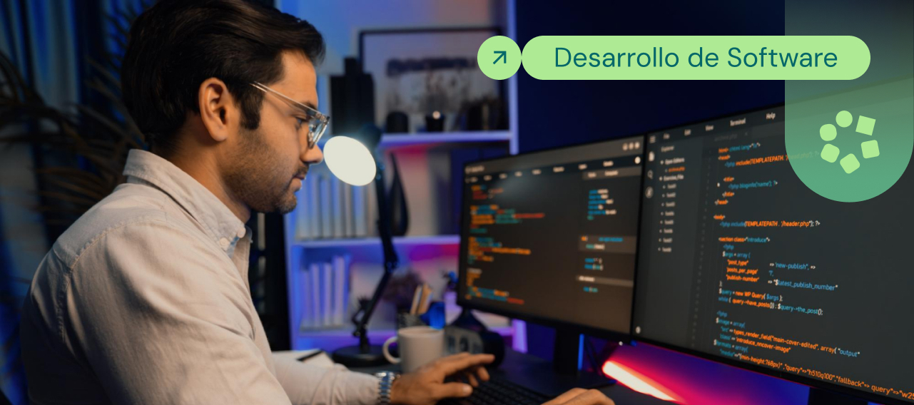 Errores en el desarrollo de software
